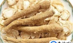 气虚发胖怎么减肥