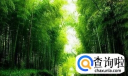 怎样培养良好的意志品质？