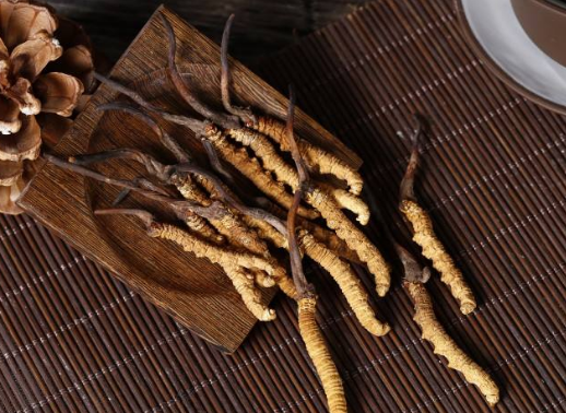 冬虫夏草是如何形成的