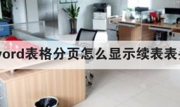 word表格分页怎么显示续表表头