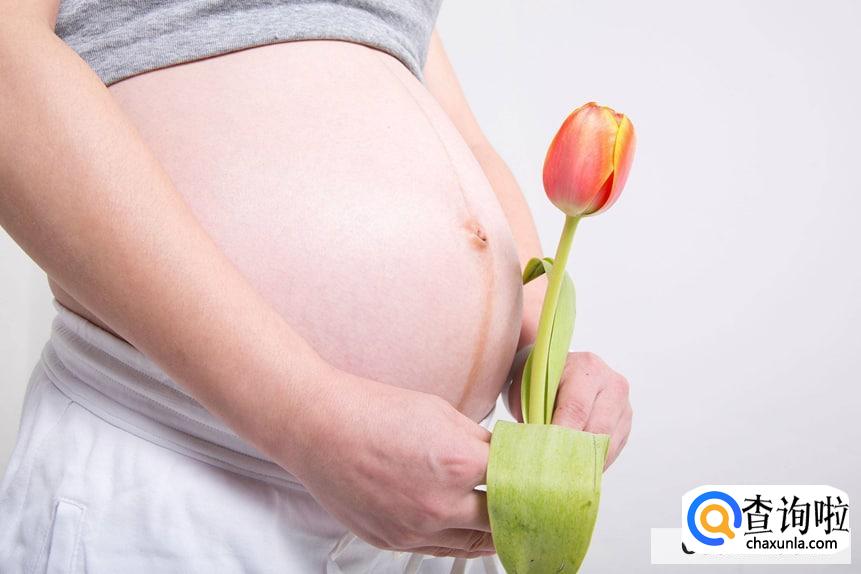 胎教从什么时期开始