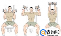 哑铃三角肌锻炼方法,锻炼三角肌注意事项