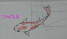 锦鲤应该怎么画