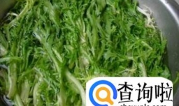 怎样凉拌苦菊？