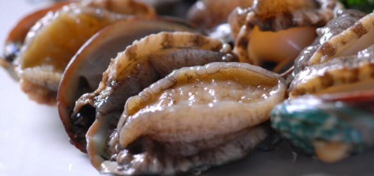 小鲍鱼的的营养价值有哪些？