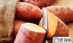 红薯的营养价值的营养价值有哪些