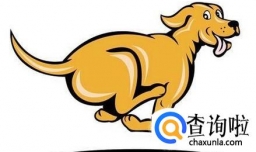 2018年属狗人的全年运势