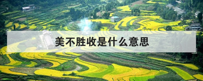 美不胜收是什么意思