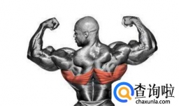 背阔肌不对称的原因，如何避免背阔肌不对称