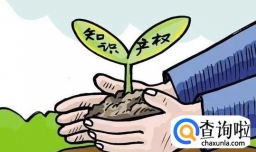 申请欧洲专利前需要先了解欧洲专利局是什么？