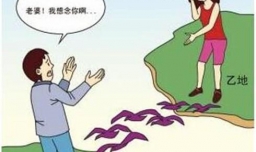 夫妻长期两地分居怎么办？