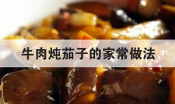 牛肉炖茄子的家常做法