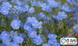 甜美温馨可爱好听女孩名字（建议收藏）