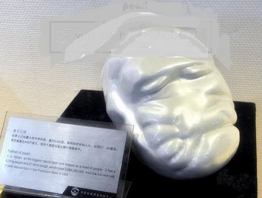 世界上最大的珍珠