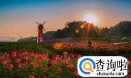 英山四季花海好玩吗？四季花海旅游攻略