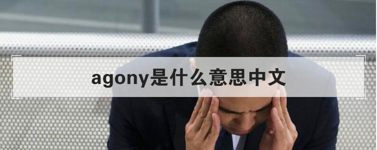 agony是什么意思中文