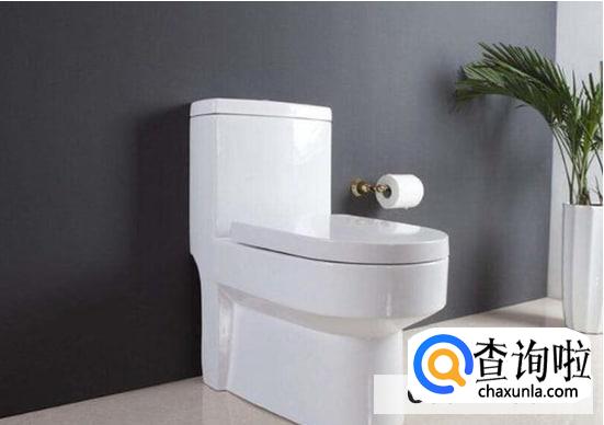 使用马桶时应注意的细节