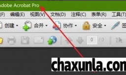 Acrobat如何设置全屏时鼠标在延迟后隐藏