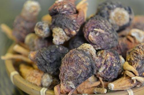 玛咖是什么东西