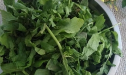 怎样做美味的荠菜胡萝卜鸡蛋面