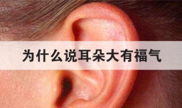 为什么说耳朵大有福气