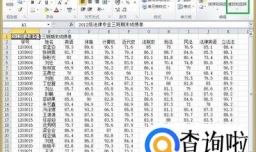 怎样使用excel中的查找功能