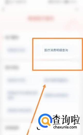 支付宝怎么进行医疗消费明细查询