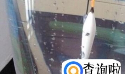 各种浮漂的使用技巧