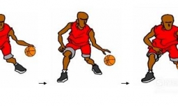 打篮球基本动作学习介绍