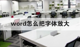 word怎么把字体放大