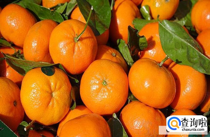 降低胆固醇的食物都有哪些