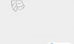 儿童简笔画：山羊