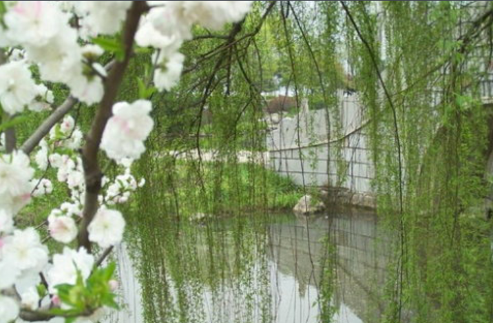 清明节的习俗有哪些