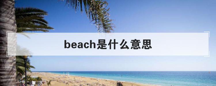 beach是什么意思