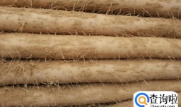 如何挑选山药？