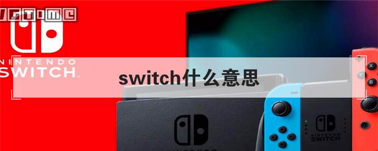 switch什么意思