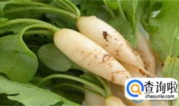 萝卜的特色吃法，简单3步就做好，酸甜可口，好吃极了