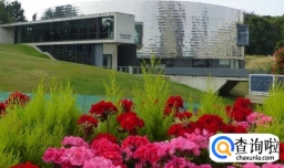 埃塞克斯大学研究生王牌专业