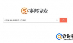 山东省企业信用信息查询方法