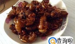 知了猴如何做好吃