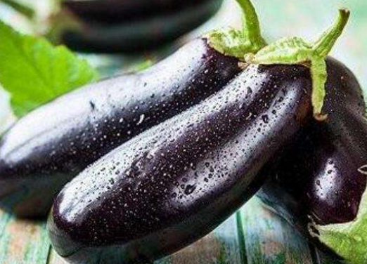 怎样判断茄子熟没熟