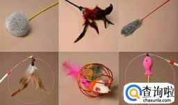 猫咪喜欢的玩具有哪些