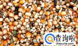 鸽子的养殖技术