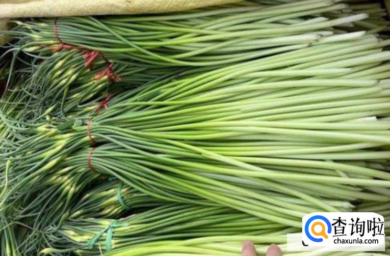 蒜苔怎么择菜