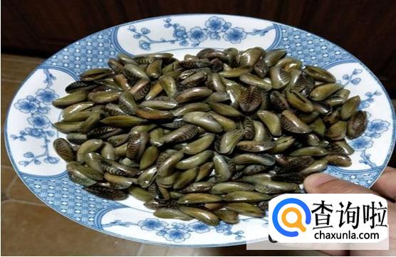 海瓜子怎么保存最好