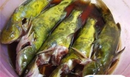 黄蜂鱼钢针鱼的做法