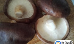 家常香菇肉丝汤面怎么做最好吃