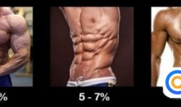 真人演示—人体脂肪含量对比图