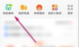 怎么查看支付宝潘多拉海域动态