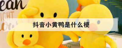 抖音小黄鸭是什么梗